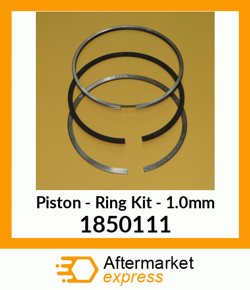 RING KIT-1.0 MM 1850111