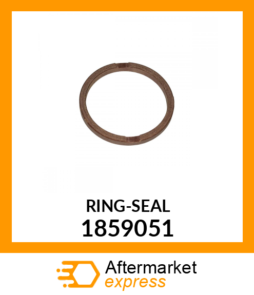 RING-SEAL 1859051