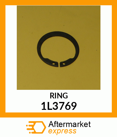 RING 1L3769