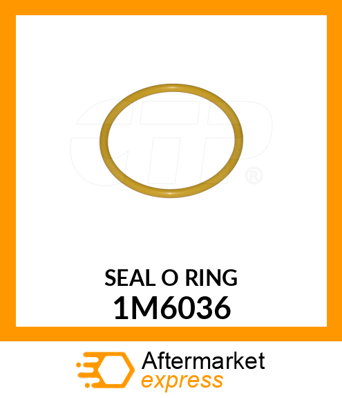 SEAL O RIN 1M6036