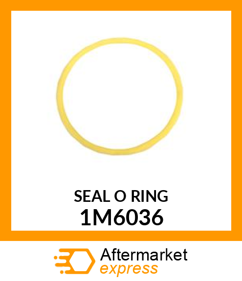 SEAL O RIN 1M6036