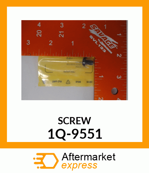 SCREW 1Q9551