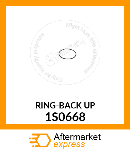 RING 1S0668