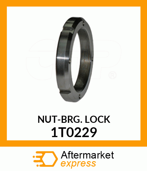 NUT 1T0229