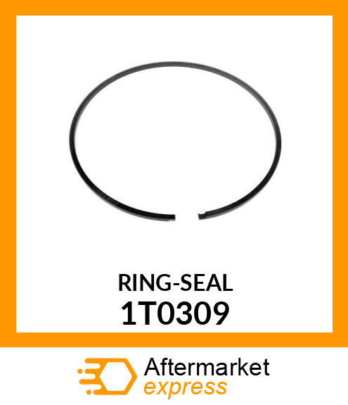 RING-SEAL 1T0309