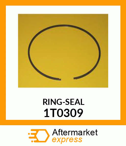 RING-SEAL 1T0309