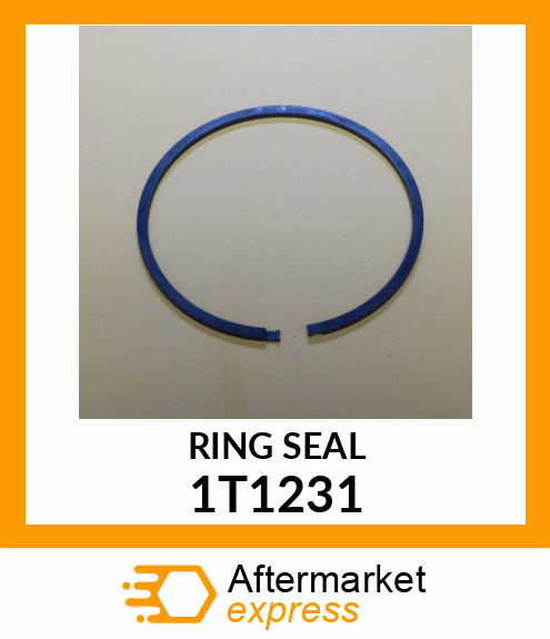 RING 1T1231