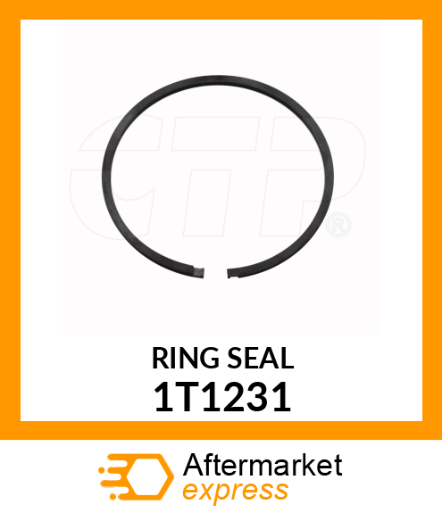 RING 1T1231