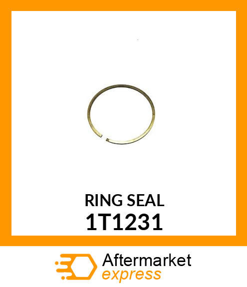 RING 1T1231