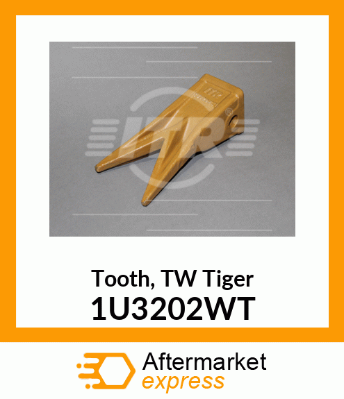 Tooth, TW Tiger 1U3202WT