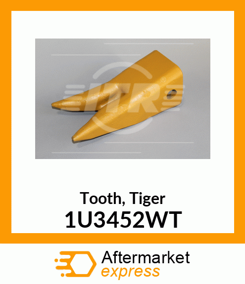 Tooth, Tiger 1U3452WT