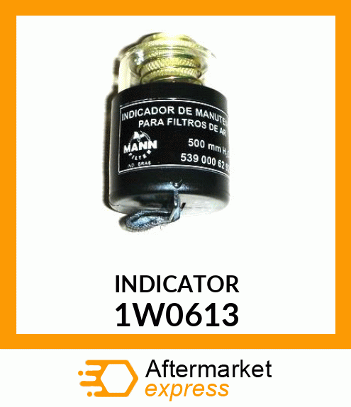 INDICATOR 1W0613