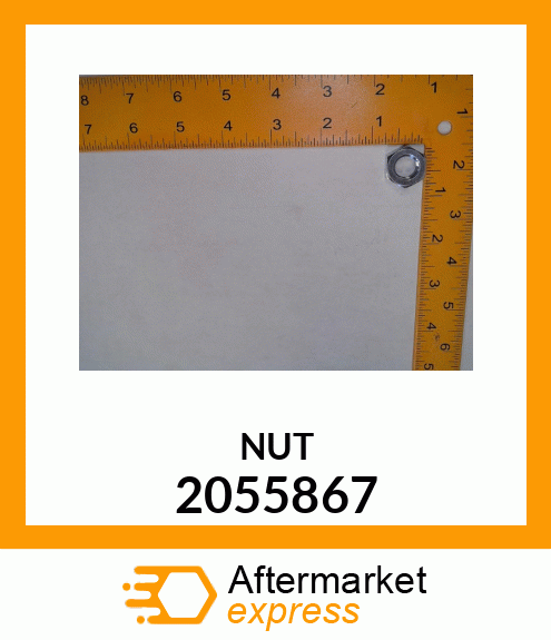 NUT 2055867