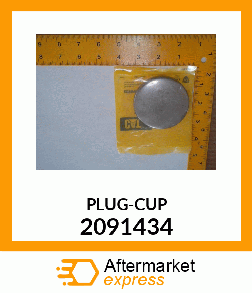 PLUG-CAP 2091434