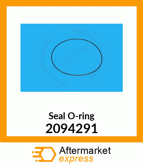 Seal O-ring 2094291