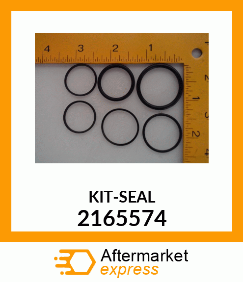 SEAL_KIT 2165574