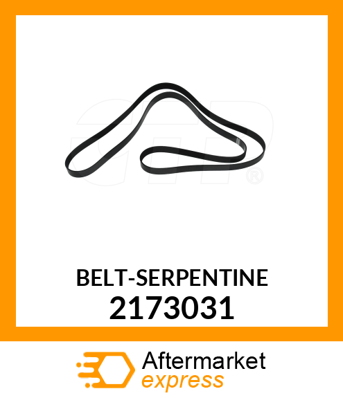 BELT 2173031