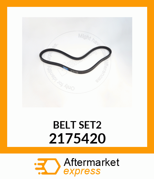 BELT SET(2) 2175420