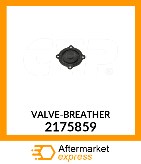 VALVE 2175859