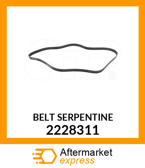 BELT SERPENTINE 2228311