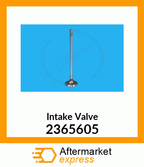 VALVE-INTAKE 236-5605