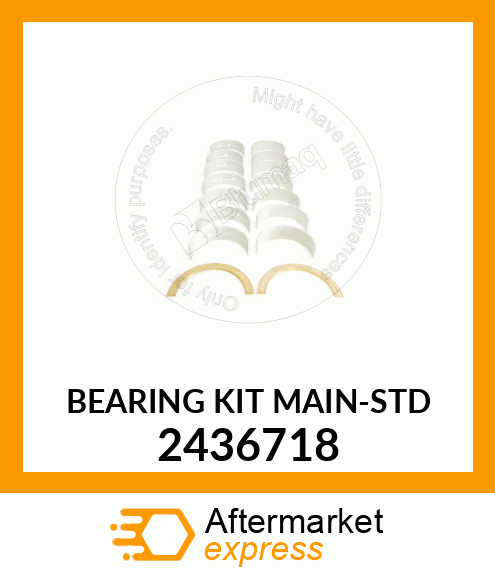 BEARING KIT MAIN STD 2436718