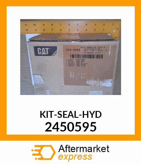 SEAL_KIT 2450595