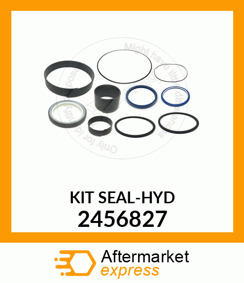 SEAL KIT 2456827