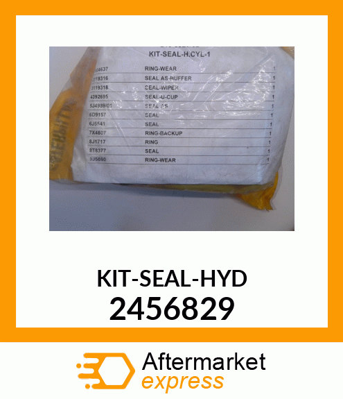 SEAL KIT 2456829