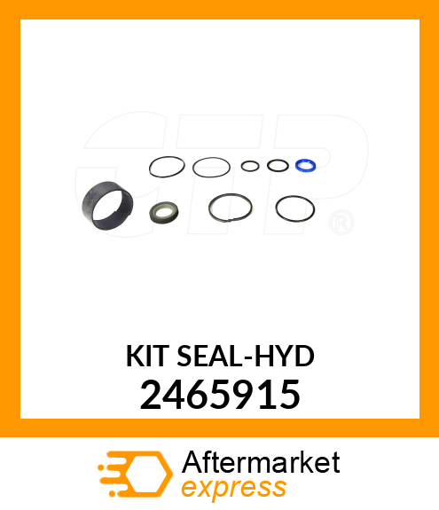 SEAL KIT 2465915