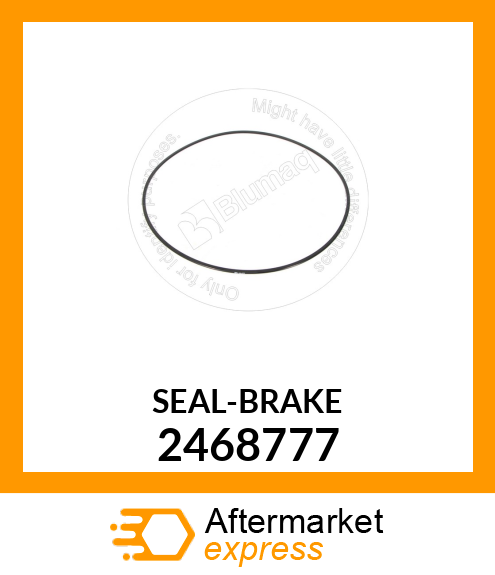 SEAL-BRAKE 2468777