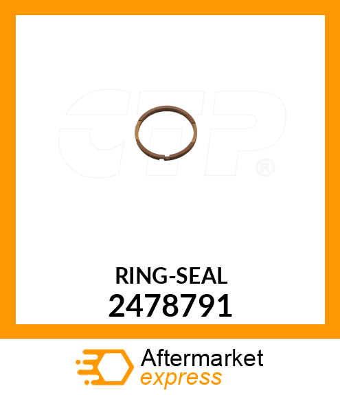 RING-SEAL 2478791