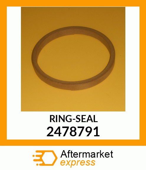 RING-SEAL 2478791