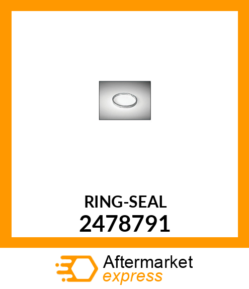 RING-SEAL 2478791