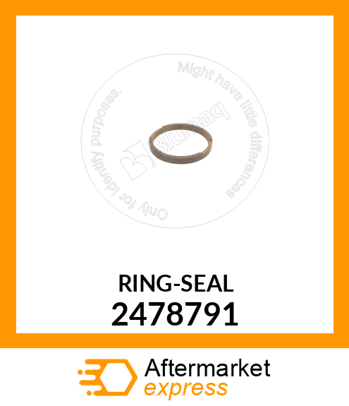 RING-SEAL 2478791