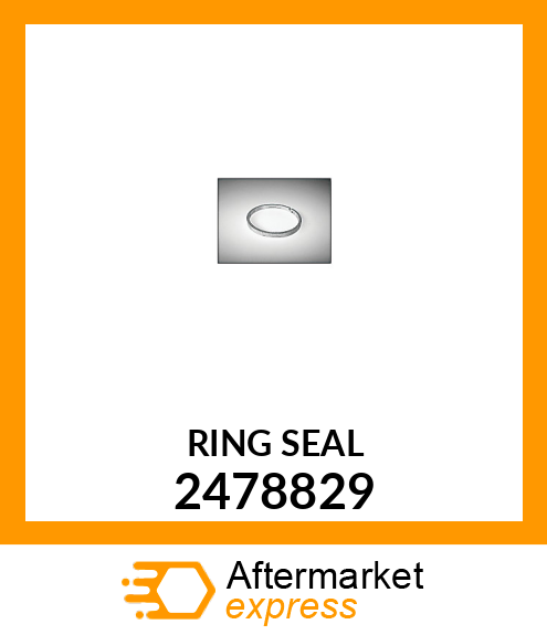 RING-SEAL 2478829