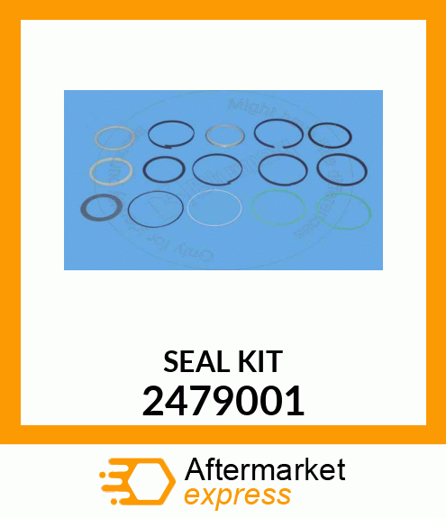 SEAL KIT 2479001