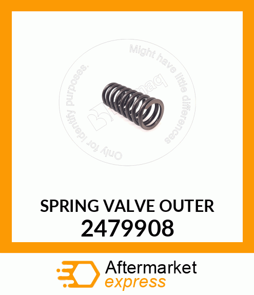 VALVE SPRING, 2479908