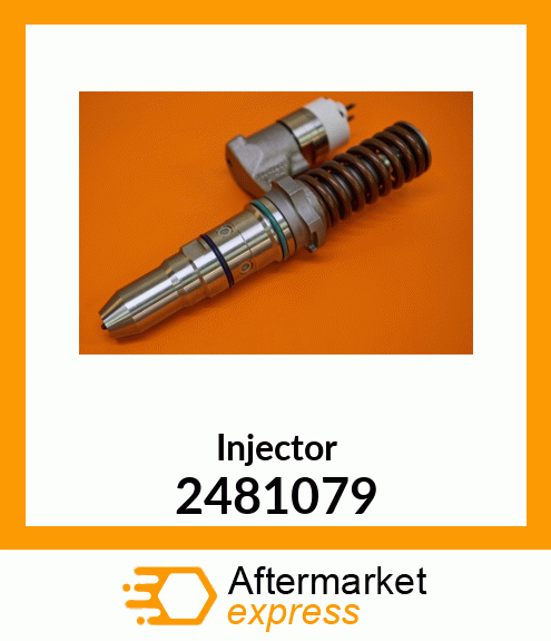 Injector 2481079