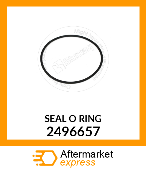 SEAL-O-RING 2496657