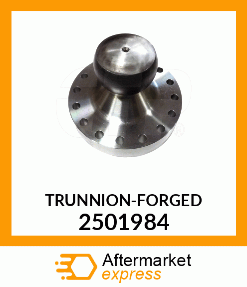 TRUNNION 2501984