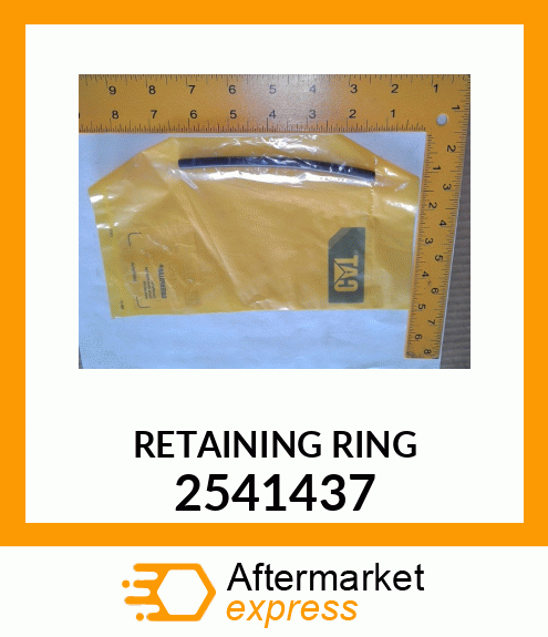 RETAINING_RING_ 2541437