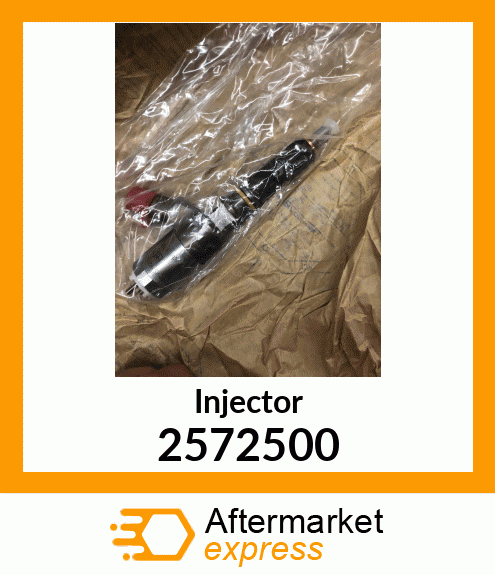 Injector 2572500