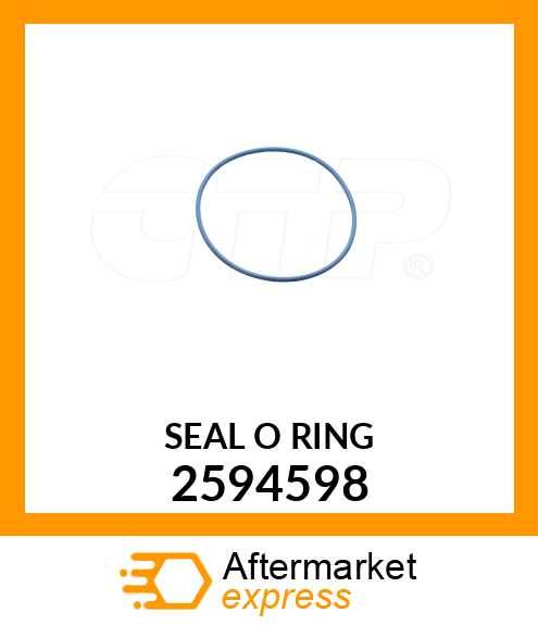 SEAL-O-RING 2594598