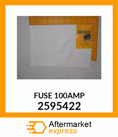 FUSE_100AMP 2595422