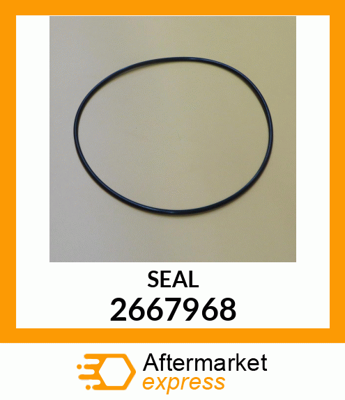 SEAL O RING 2667968