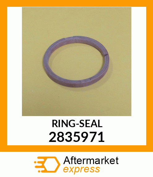 RING-SEAL 2835971