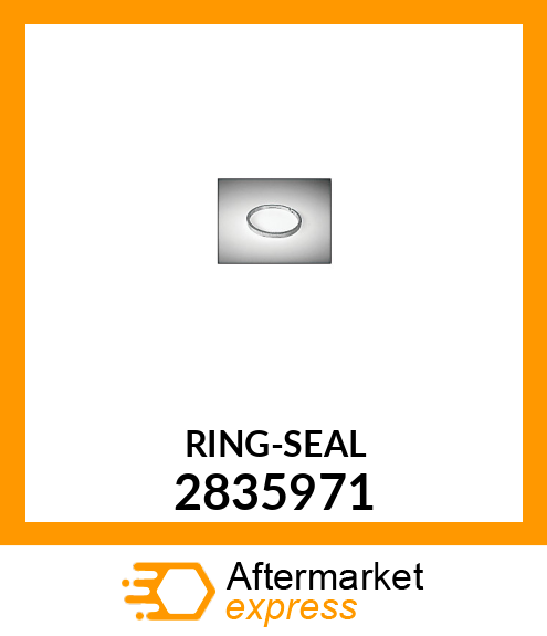 RING-SEAL 2835971