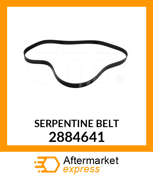 BELT 2884641