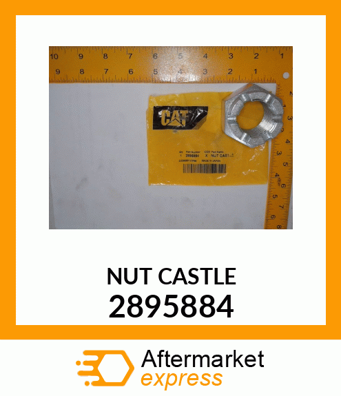 NUT CASTLE 2895884